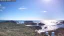 ./images/calvert/lookout/20260606/lookout20260606_181001M.jpg