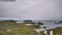 ./images/calvert/lookout/20260607/lookout20260607_103501M.jpg