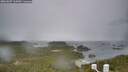./images/calvert/lookout/20260607/lookout20260607_165002M.jpg