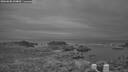 ./images/calvert/lookout/20260608/lookout20260608_044001M.jpg