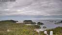 ./images/calvert/lookout/20260608/lookout20260608_085001M.jpg