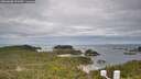 ./images/calvert/lookout/20260608/lookout20260608_091001M.jpg