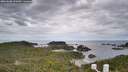 ./images/calvert/lookout/20260608/lookout20260608_101001M.jpg