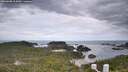 ./images/calvert/lookout/20260608/lookout20260608_115001M.jpg