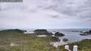./images/calvert/lookout/20260608/lookout20260608_133001M.jpg
