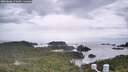 ./images/calvert/lookout/20260608/lookout20260608_170001M.jpg