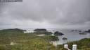 ./images/calvert/lookout/20260609/lookout20260609_075501M.jpg