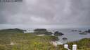 ./images/calvert/lookout/20260609/lookout20260609_081001M.jpg