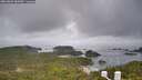 ./images/calvert/lookout/20260609/lookout20260609_082001M.jpg