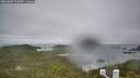 ./images/calvert/lookout/20260609/lookout20260609_103501M.jpg