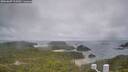 ./images/calvert/lookout/20260609/lookout20260609_112001M.jpg