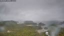./images/calvert/lookout/20260609/lookout20260609_131001M.jpg