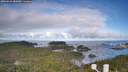 ./images/calvert/lookout/20260610/lookout20260610_082002M.jpg