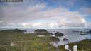 ./images/calvert/lookout/20260610/lookout20260610_083001M.jpg