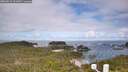 ./images/calvert/lookout/20260610/lookout20260610_101001M.jpg