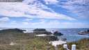 ./images/calvert/lookout/20260610/lookout20260610_145001M.jpg