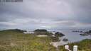 ./images/calvert/lookout/20260611/lookout20260611_062501M.jpg