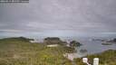 ./images/calvert/lookout/20260611/lookout20260611_082501M.jpg