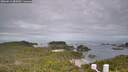 ./images/calvert/lookout/20260611/lookout20260611_083001M.jpg
