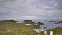 ./images/calvert/lookout/20260611/lookout20260611_084501M.jpg