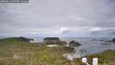 ./images/calvert/lookout/20260611/lookout20260611_093501M.jpg