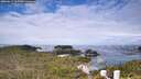 ./images/calvert/lookout/20260611/lookout20260611_105501M.jpg
