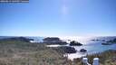 ./images/calvert/lookout/20260611/lookout20260611_165501M.jpg