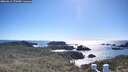 ./images/calvert/lookout/20260611/lookout20260611_172001M.jpg