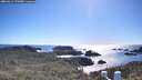 ./images/calvert/lookout/20260611/lookout20260611_172501M.jpg