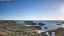 ./images/calvert/lookout/20260611/lookout20260611_202001M.jpg