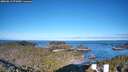 ./images/calvert/lookout/20260612/lookout20260612_071001M.jpg