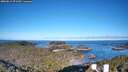 ./images/calvert/lookout/20260612/lookout20260612_071501M.jpg