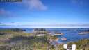 ./images/calvert/lookout/20260612/lookout20260612_083001M.jpg