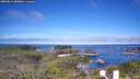 ./images/calvert/lookout/20260612/lookout20260612_084001M.jpg
