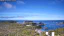 ./images/calvert/lookout/20260612/lookout20260612_091501M.jpg