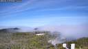 ./images/calvert/lookout/20260613/lookout20260613_095501M.jpg