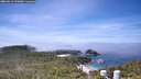 ./images/calvert/lookout/20260613/lookout20260613_122001M.jpg