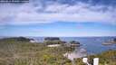 ./images/calvert/lookout/20260614/lookout20260614_095002M.jpg
