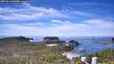 ./images/calvert/lookout/20260614/lookout20260614_115001M.jpg