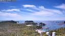 ./images/calvert/lookout/20260614/lookout20260614_121001M.jpg