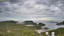./images/calvert/lookout/20260615/lookout20260615_073501M.jpg