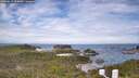 ./images/calvert/lookout/20260615/lookout20260615_105001M.jpg