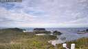 ./images/calvert/lookout/20260615/lookout20260615_111502M.jpg