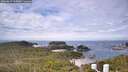 ./images/calvert/lookout/20260615/lookout20260615_112002M.jpg