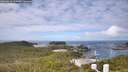 ./images/calvert/lookout/20260616/lookout20260616_110501M.jpg