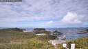 ./images/calvert/lookout/20260616/lookout20260616_111501M.jpg