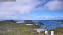 ./images/calvert/lookout/20260616/lookout20260616_115001M.jpg