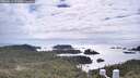 ./images/calvert/lookout/20260616/lookout20260616_171001M.jpg