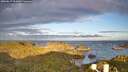 ./images/calvert/lookout/20260617/lookout20260617_061001M.jpg