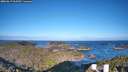 ./images/calvert/lookout/20260617/lookout20260617_065502M.jpg